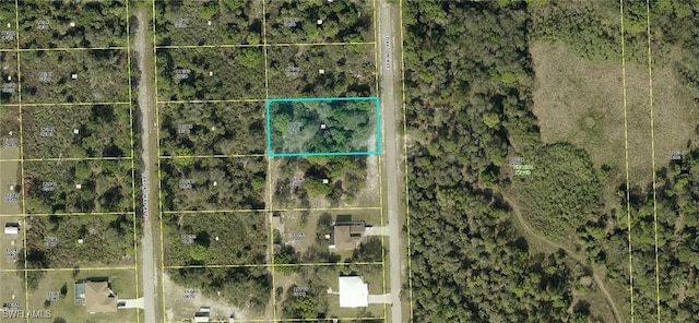 1117 Dayton Ave, Lehigh Acres FL, 33972 land for sale