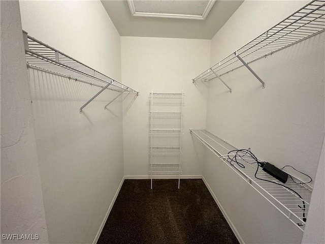 view of walk in closet