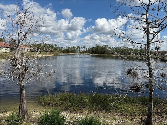 view of water feature