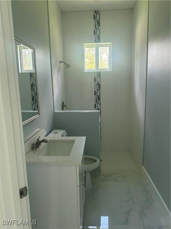 bathroom with vanity, toilet, and a shower