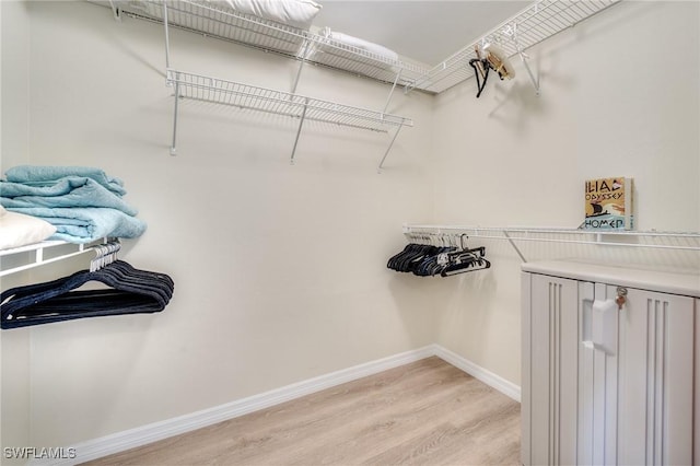 spacious closet featuring light wood-type flooring