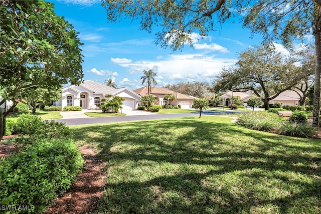 view of yard with a garage and driveway