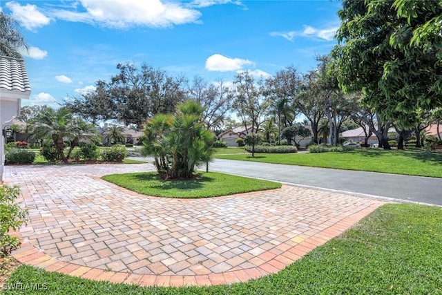 view of community featuring a yard and curved driveway