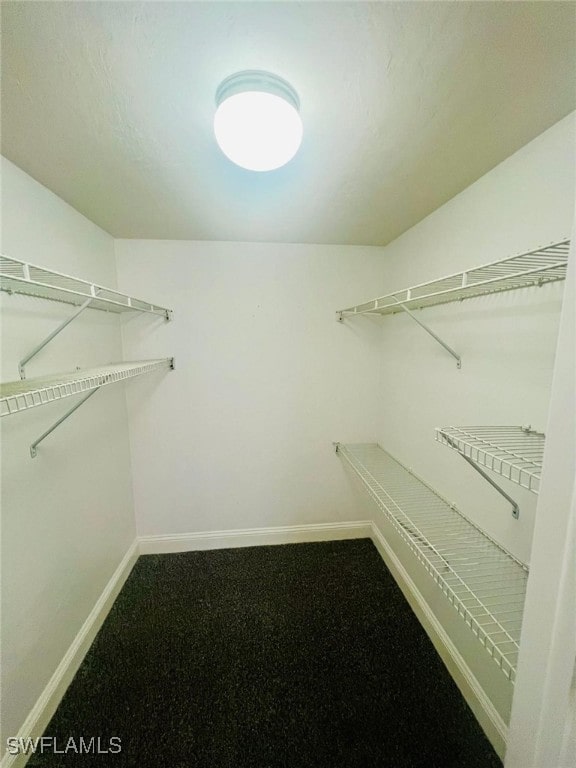 spacious closet with carpet flooring