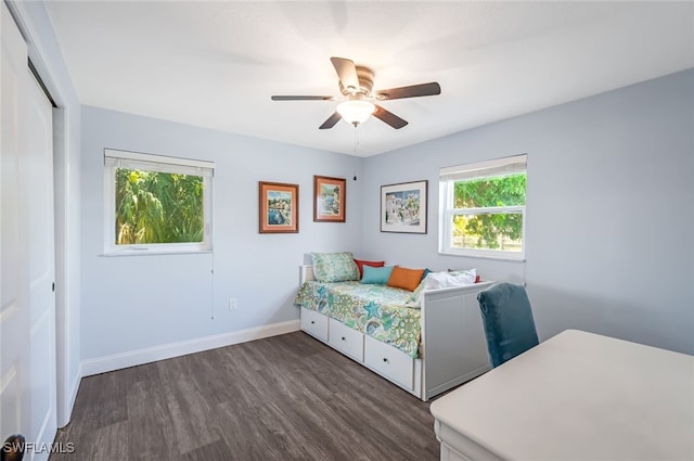 bedroom featuring ceiling fan, dark hardwood / wood-style flooring, and a closet