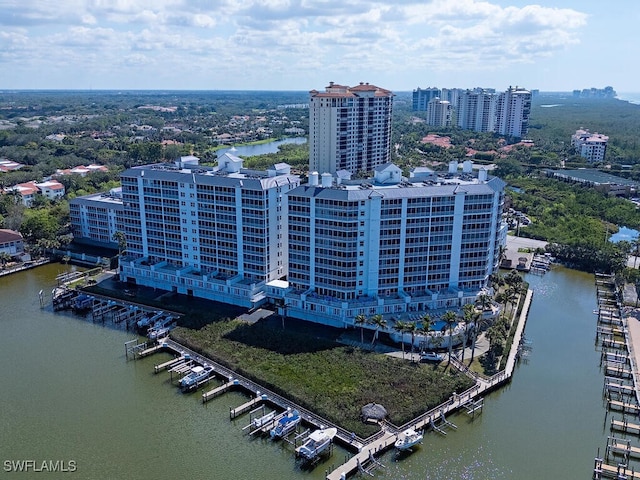 bird's eye view with a water view