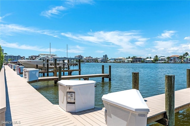 dock area with a water view