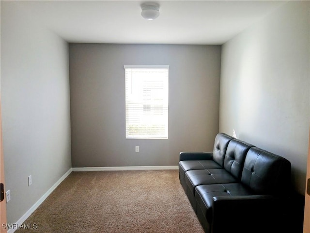 living area featuring carpet