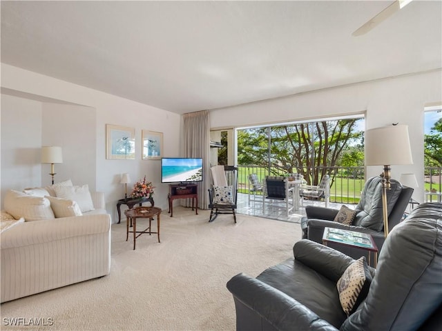 living room with a healthy amount of sunlight and carpet flooring