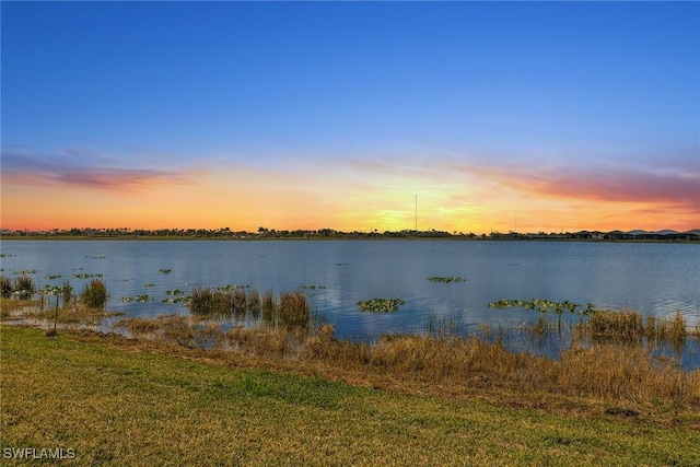 16142 Preservation Blvd, Punta Gorda, FL 33982 - view of water feature