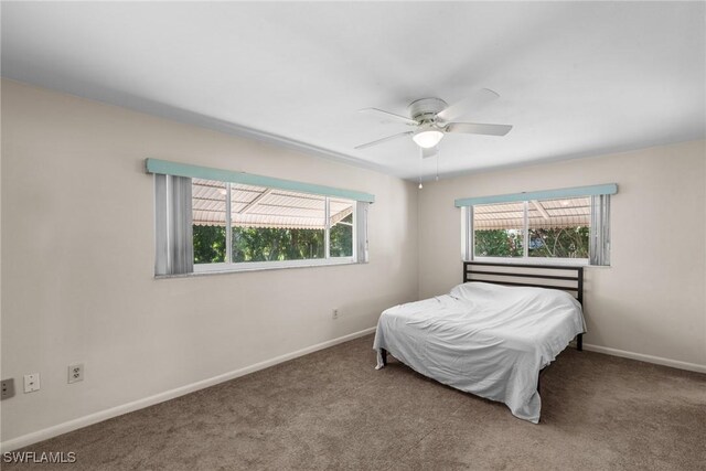 bedroom featuring multiple windows, carpet, a ceiling fan, and baseboards