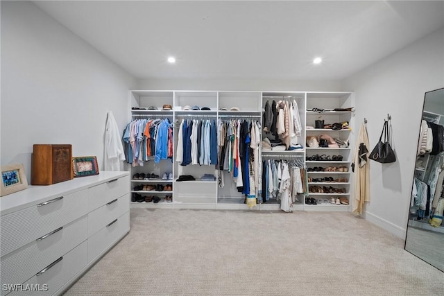 spacious closet with carpet floors