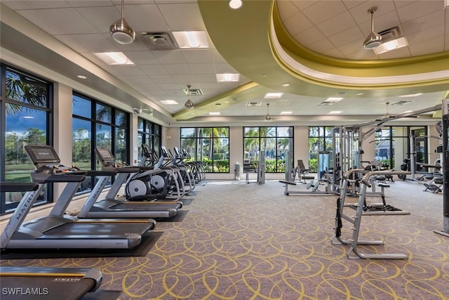 gym with carpet flooring, a raised ceiling, and a drop ceiling