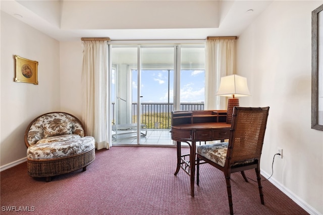 sitting room featuring carpet