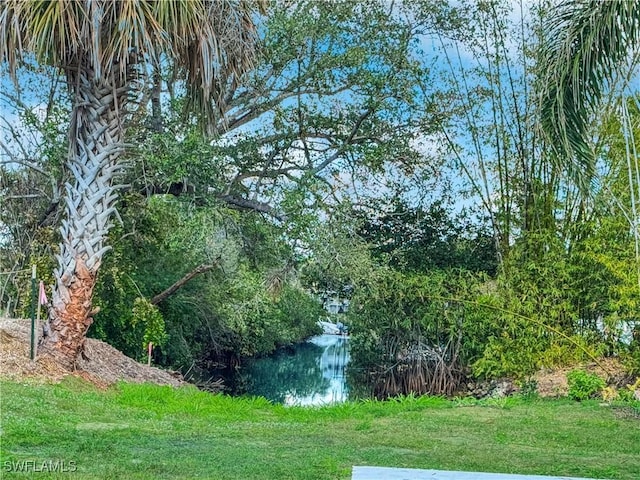 view of yard with a water view