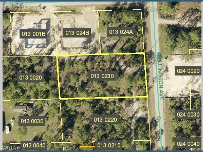 2121 Wellington Ave, Alva FL, 33920 land for sale