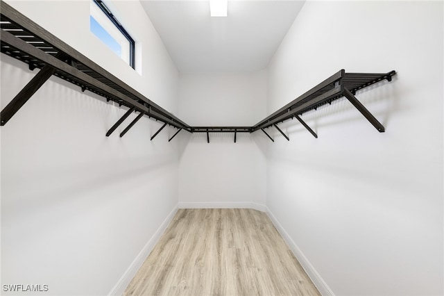 walk in closet with light wood-type flooring