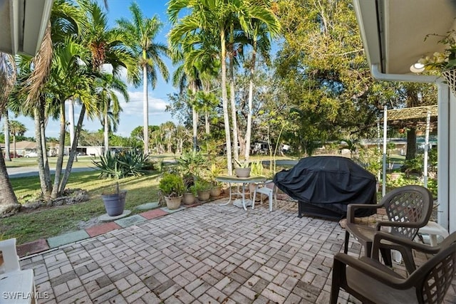 view of patio / terrace with area for grilling