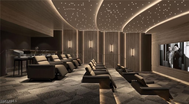 cinema featuring carpet