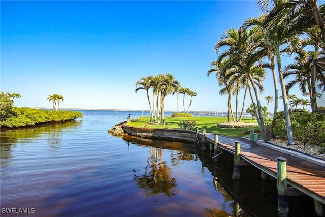 dock area with a water view