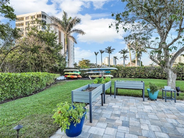 view of community with a yard and a patio