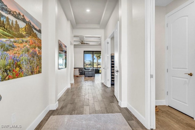 hallway featuring wood-type flooring