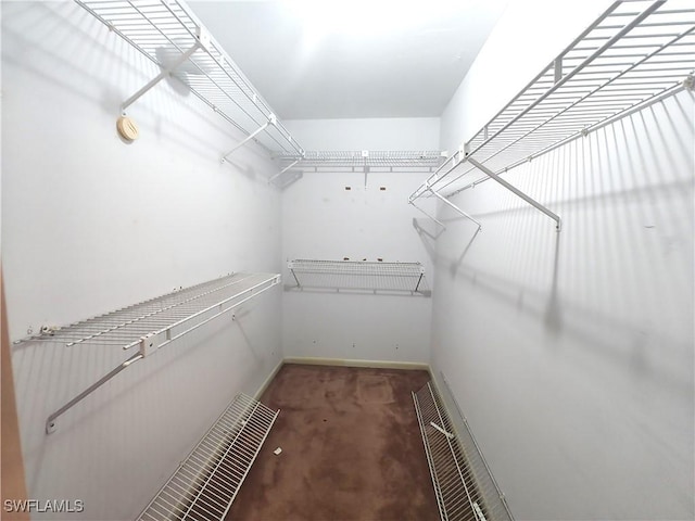 walk in closet with carpet and visible vents