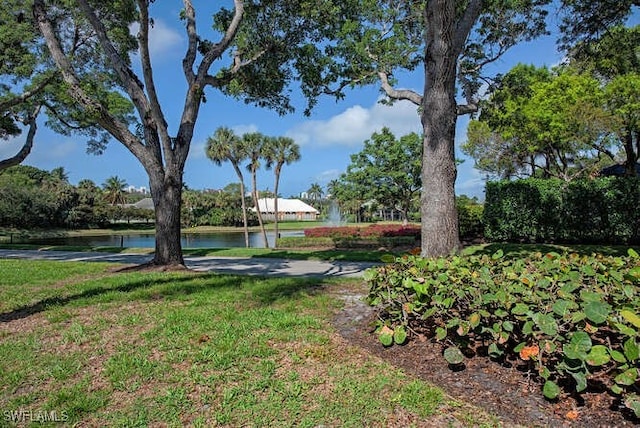 view of yard with a water view