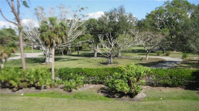 view of property's community featuring a lawn