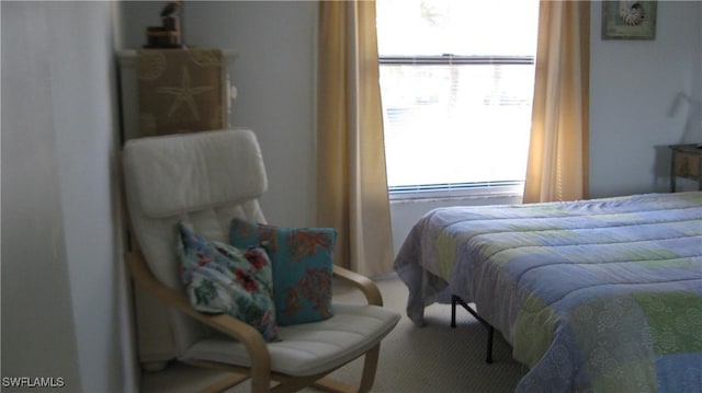 bedroom featuring multiple windows