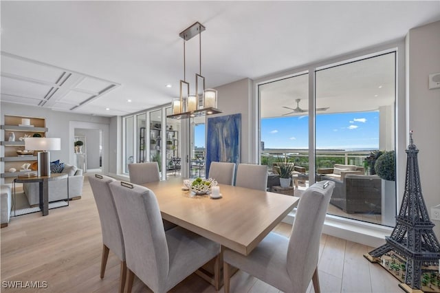 dining room featuring floor to ceiling windows, ceiling fan, and light wood-type flooring