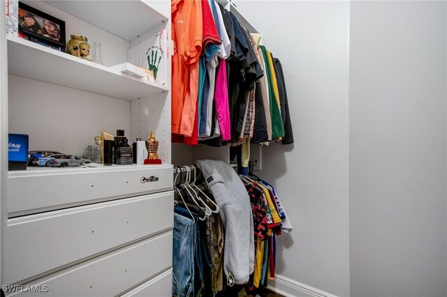 5222 N Ferrari Ave, Ave Maria, FL 34142 - view of spacious closet