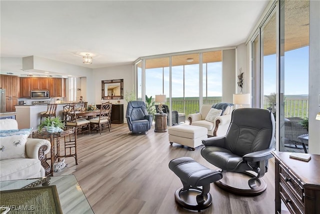 living room featuring floor to ceiling windows and light hardwood / wood-style floors
