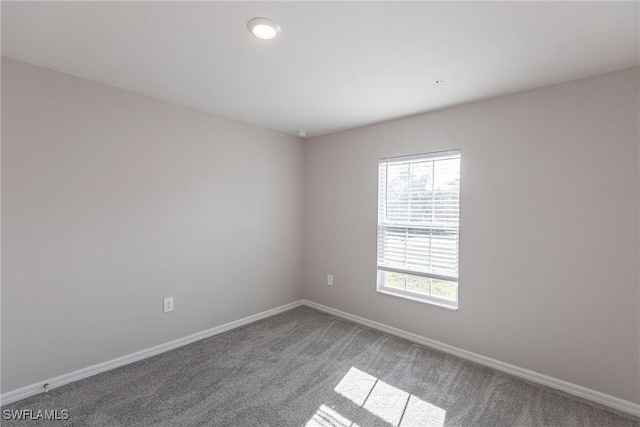 unfurnished room with carpet