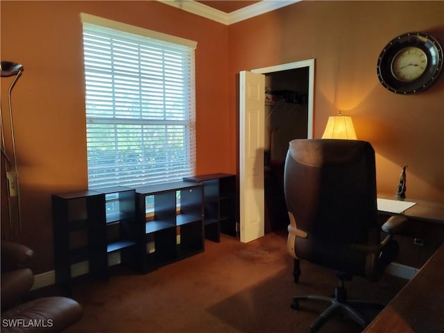 carpeted home office featuring crown molding