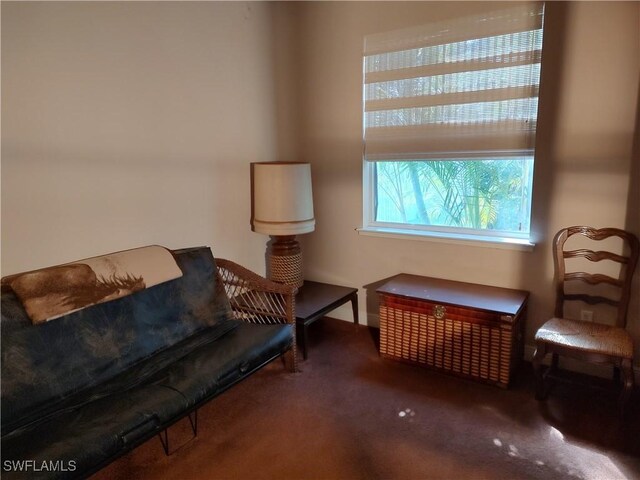 living area featuring carpet flooring