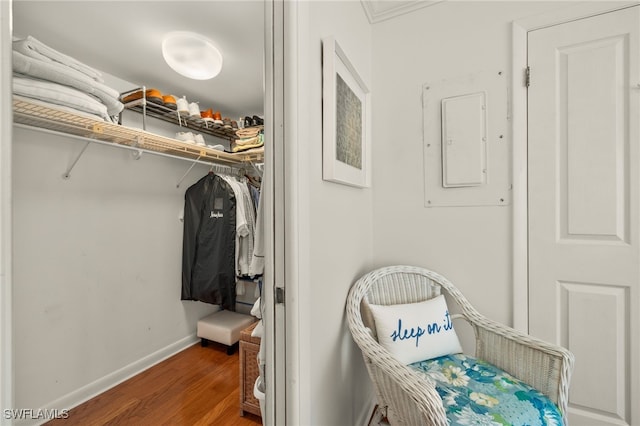 walk in closet with electric panel and dark wood-type flooring