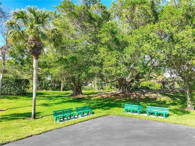 view of property's community featuring a lawn