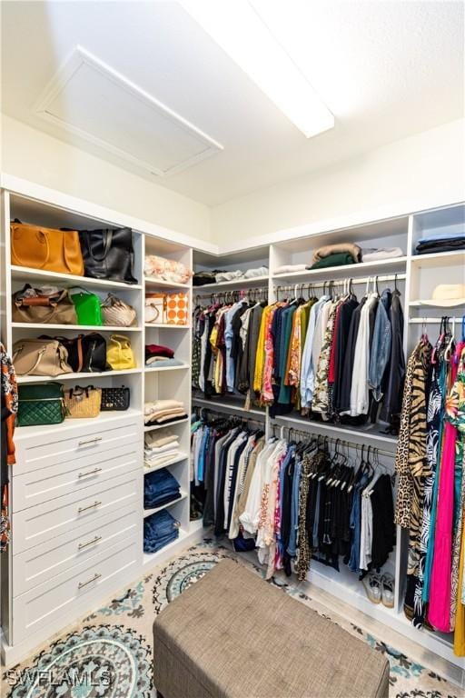 view of walk in closet