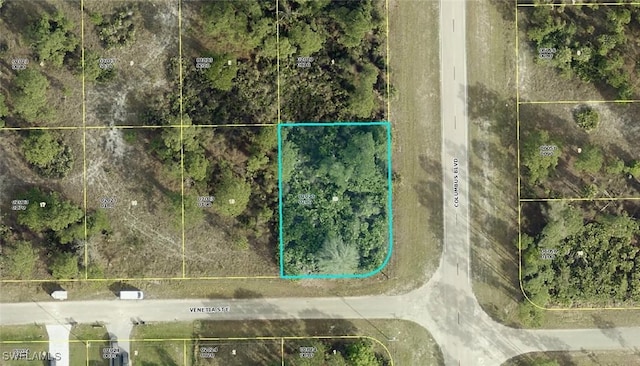 1151 Venetia St, Lehigh Acres FL, 33974 land for sale