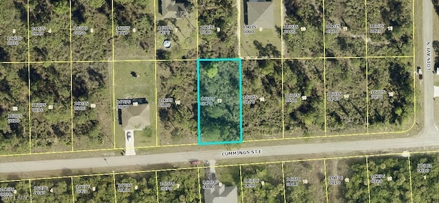 1121 Cumming St E, Lehigh Acres FL, 33974 land for sale