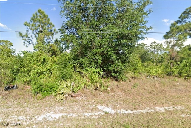 514 Truman Ave, Lehigh Acres FL, 33972 land for sale