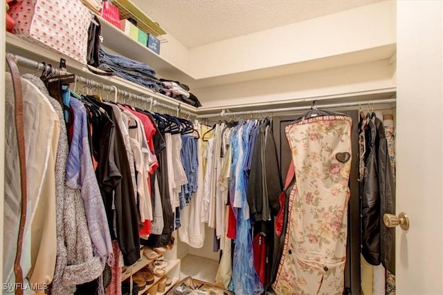 view of spacious closet