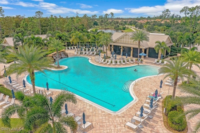 view of swimming pool with a patio