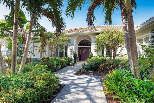 view of exterior entry with a tile roof and stucco siding