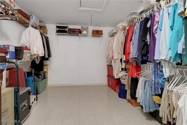 view of spacious closet