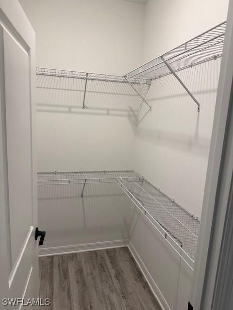 spacious closet featuring dark hardwood / wood-style floors