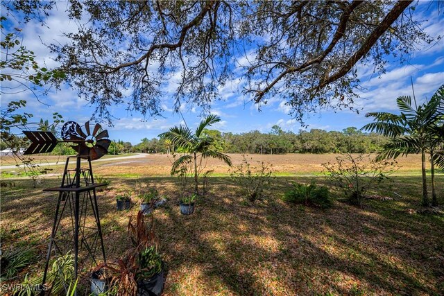 4001 E Sunflower Cir, Labelle, FL 33935 - view of yard