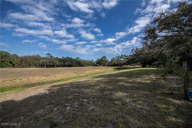 4001 E Sunflower Cir, Labelle, FL 33935 - view of yard