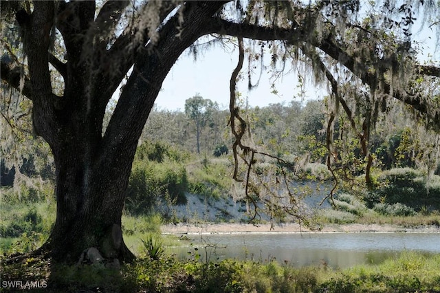 view of nature with a water view